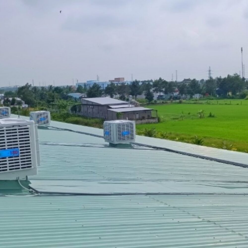 CTR May Lam Mat The Blues